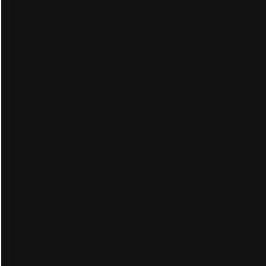 Orion negro silk 6202-02 